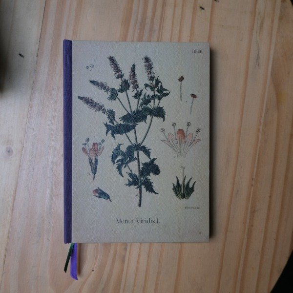 Producto - Menta