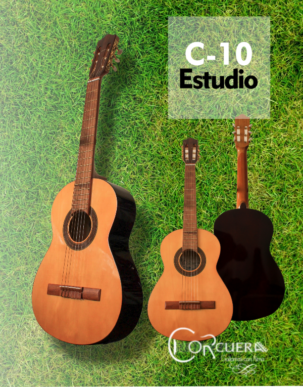Producto - C-10 Guitarra Clasica de estudio + Funda Ritter