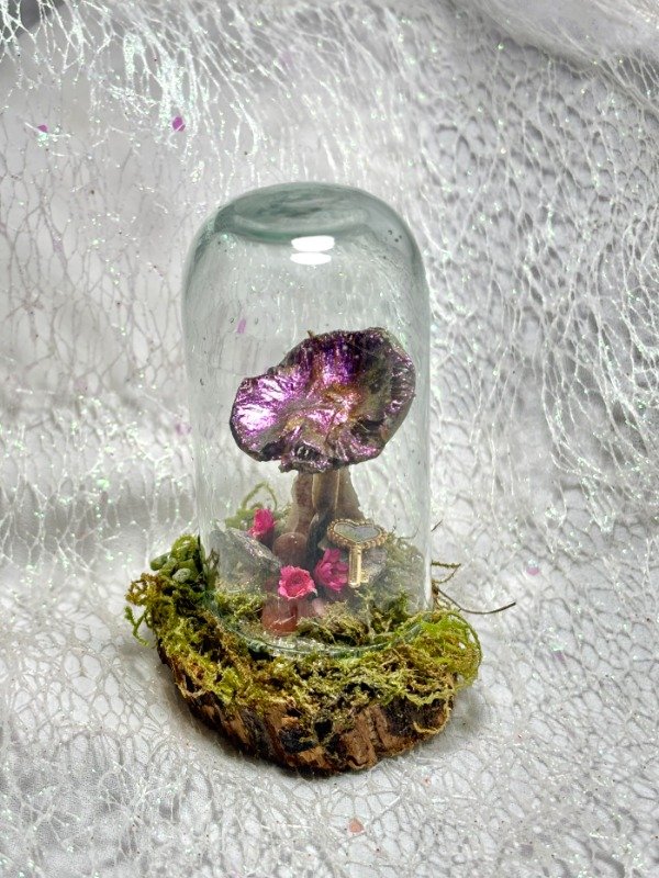 Producto - Bioma Amatista
