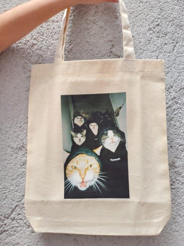 Producto - Gatitos pandilleros