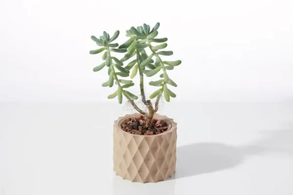 Producto - Florero Geométrico - Modelo Diamante