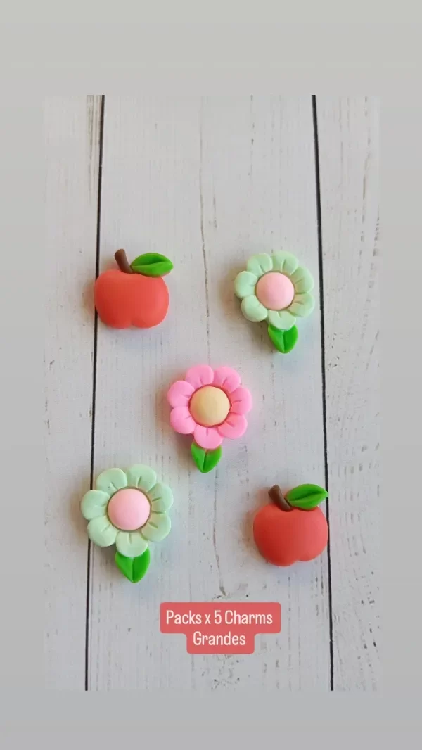 Producto - PACKS X 5 CHARMS GRANDES PRIMAVERA