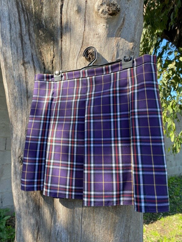 Producto - Pollera Hanna