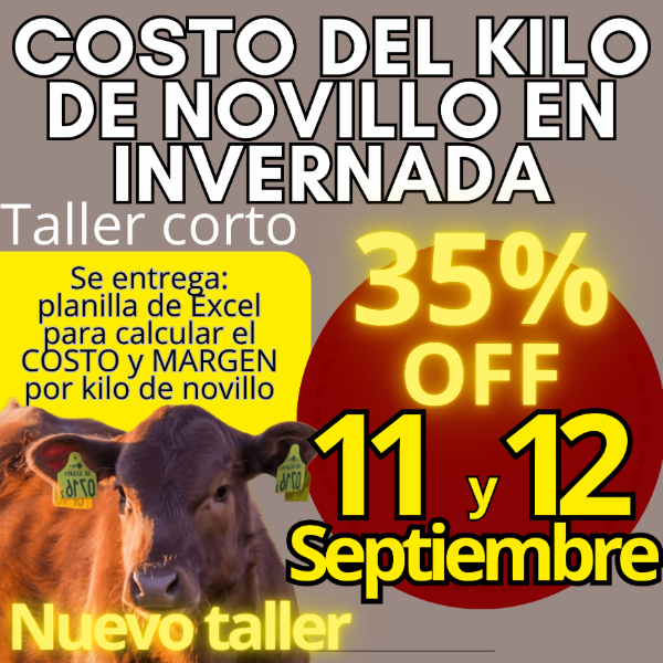 Producto - Taller corto: cálculo del costo del kilo de novillo - 0