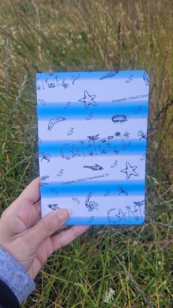 Miniatura de producto - 11