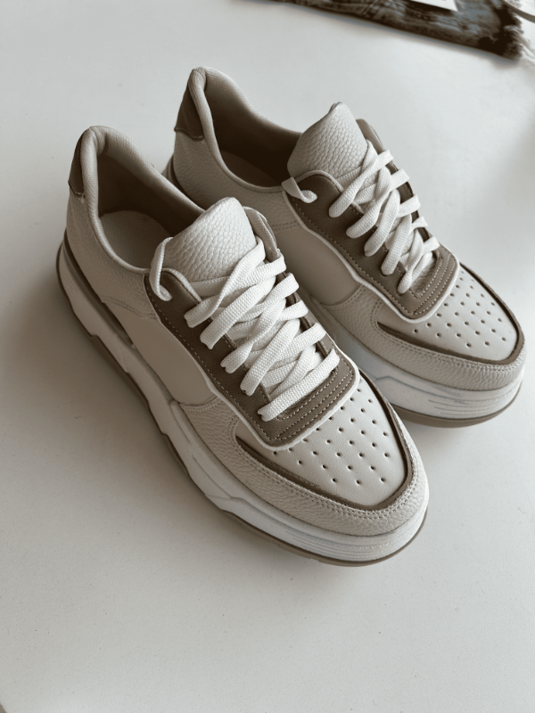 Producto - 520