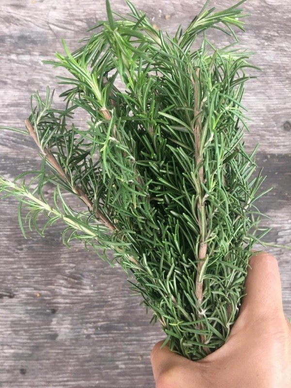Producto - HIERBAS DEL CAMPO-Romero