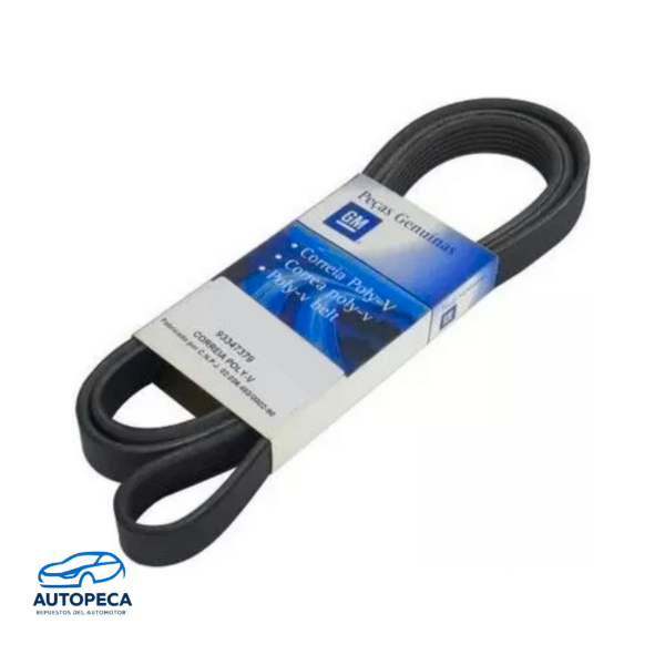 Producto - Correa Poly V GM "24579488"