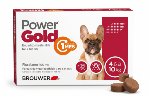Producto - Power Gold (1 MES) 4,6 a 10 kg