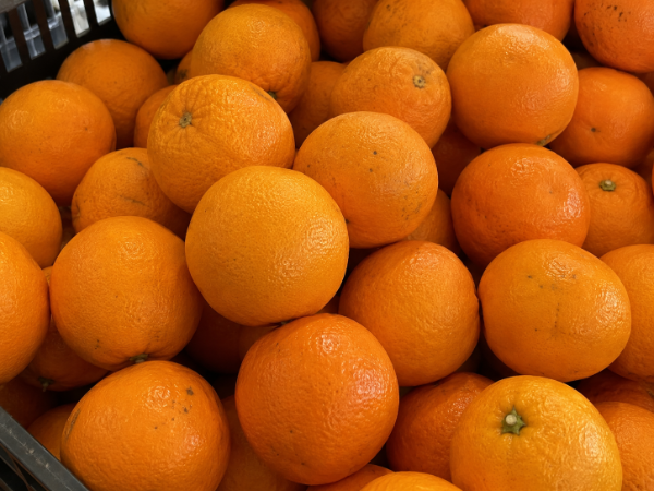 Producto - Naranjas Corrientes super jugosas x 5Kg