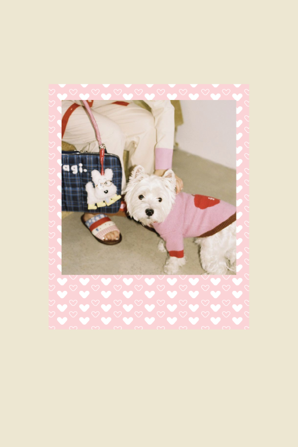 Producto - pack 14 polaroids [corazoncitos]