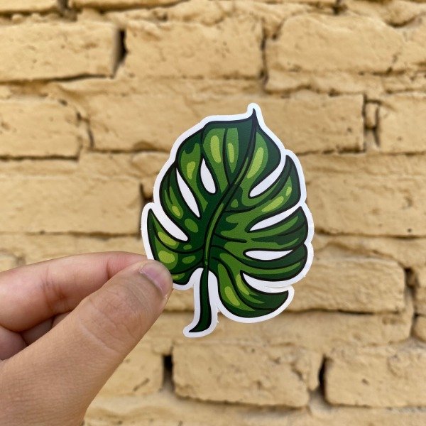 Producto - Monstera