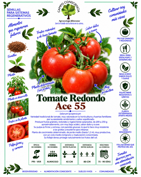Producto - Tomate Redondo - Semillas Agroecológicas