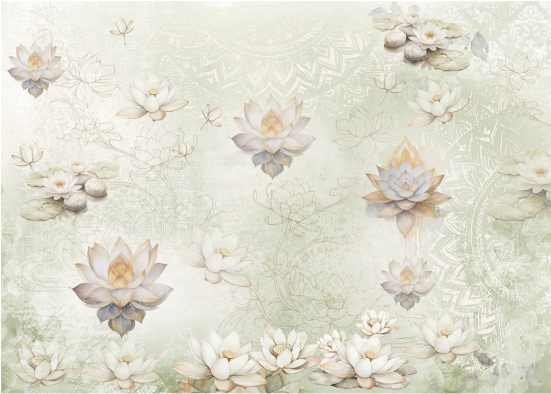 Producto - ZEN 5