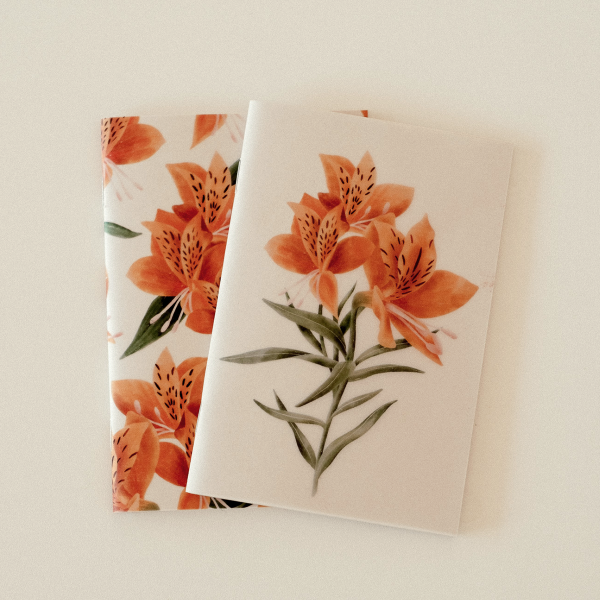Producto - Set Amancay - Papel Vegetal