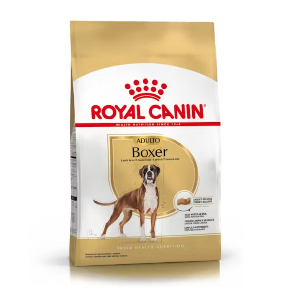 Producto - Boxer Adulto