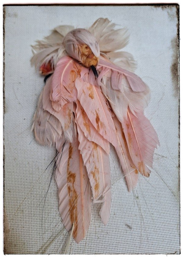 Producto - Pajarito con plumas rosas