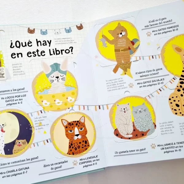 Miniatura de producto - 5
