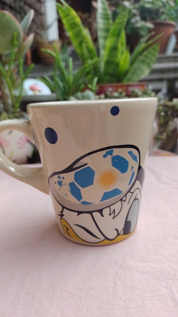 Producto - Taza Donald Argentina