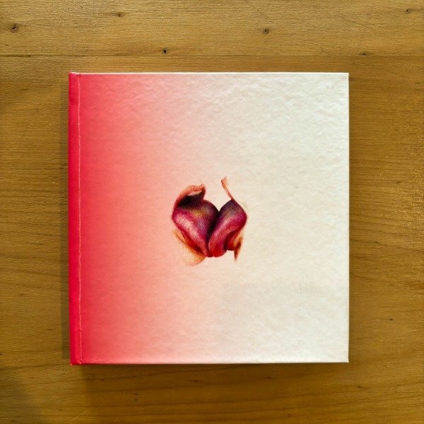 Producto - Late un rosa dentro