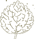 Logo de Tienda online de Hayashi