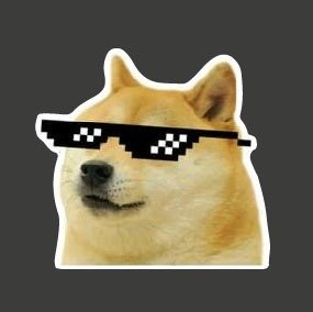 Producto - Perro, anteojos 80