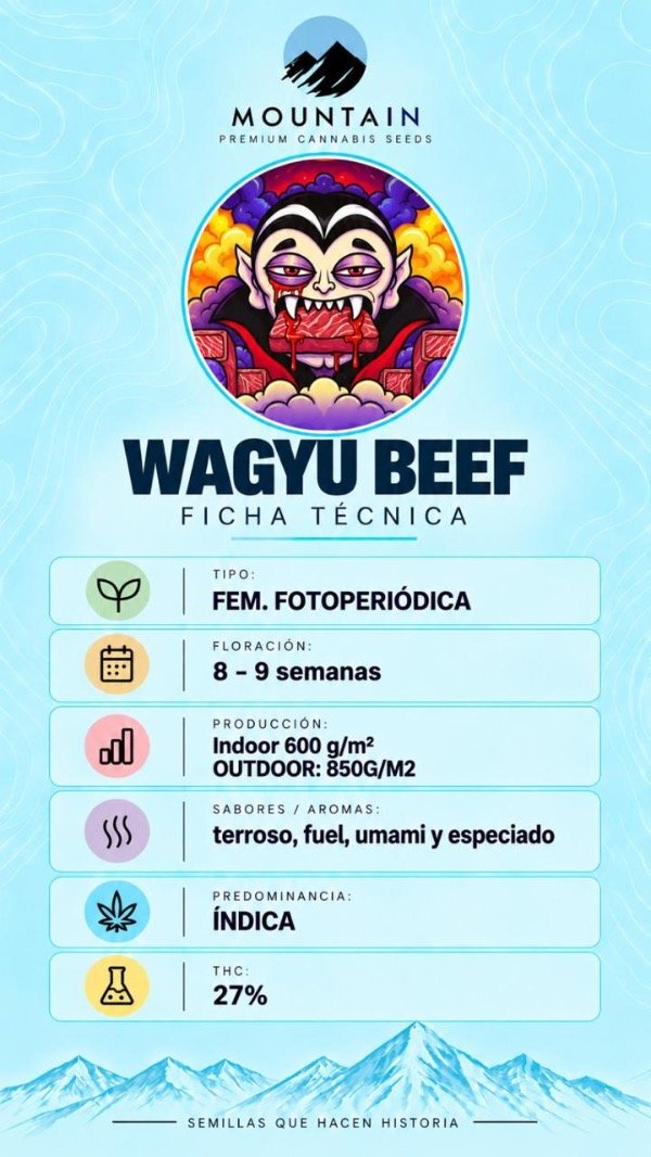 Producto - WAGYU BEEF (3 unidades) - 1