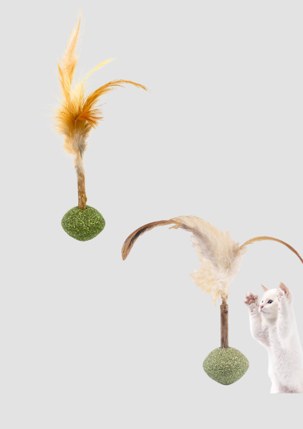 Producto - Ramita con plumas y catnip
