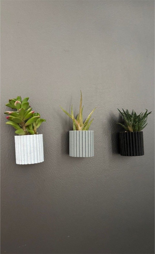 Producto - Mini maceta con imán y suculenta o cactus - 2