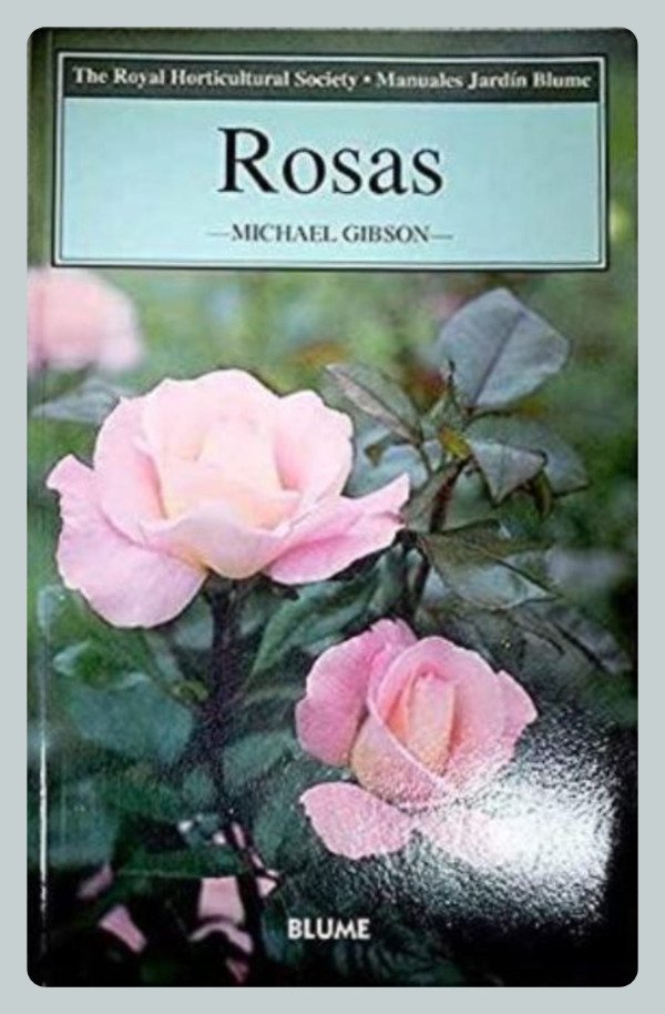 Producto - Gibson: Rosas