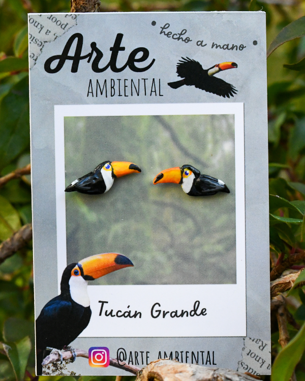 Producto - Aritos de Tucán Grande