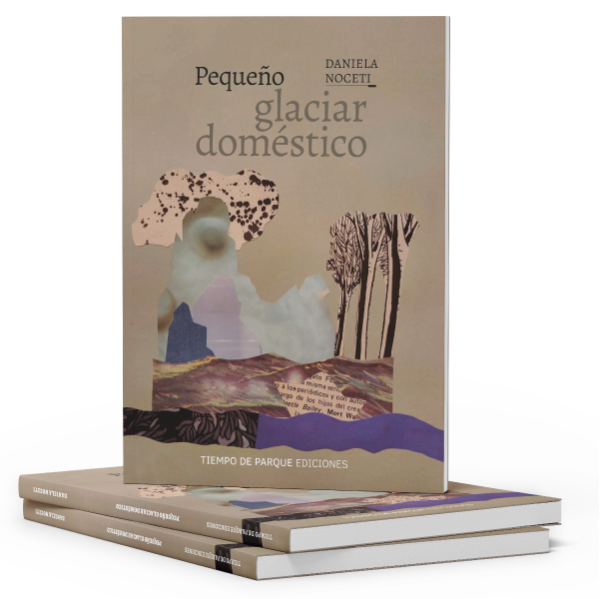 Producto - PREVENTA - Pequeño glaciar dómestico - Daniela Noceti - 1