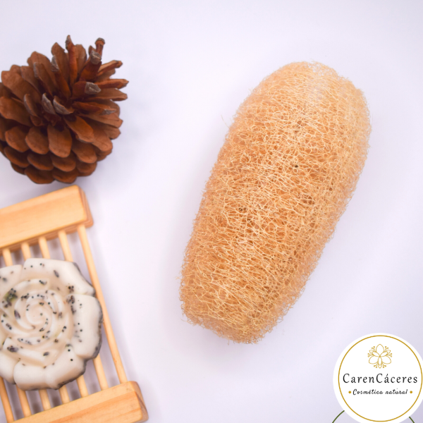 Producto - ESPONJA LUFA NATURAL