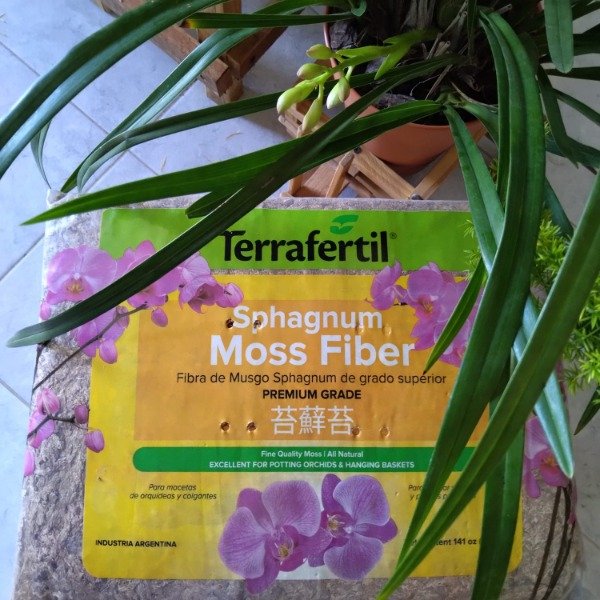 Producto - Musgo sphagnum en hebras (deshidratado) x 250litros - 0