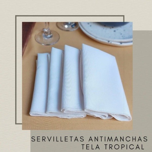 Producto - SERVILLETAS TROPICAL LISO 4 UNI