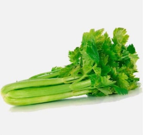 Producto - Apio Agroecologico
