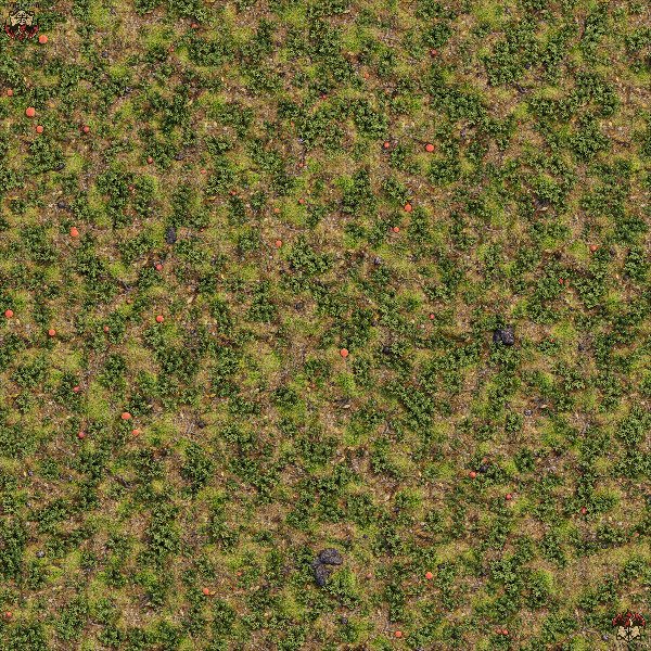 Producto - Bosque 2 XL