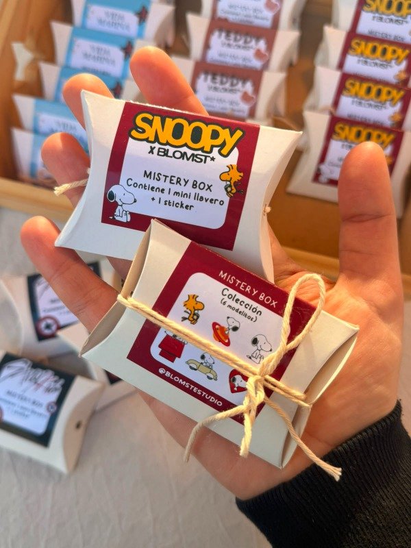 Producto - Mistery Box Snoopy