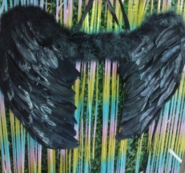 Producto - Alas con plumas Negras