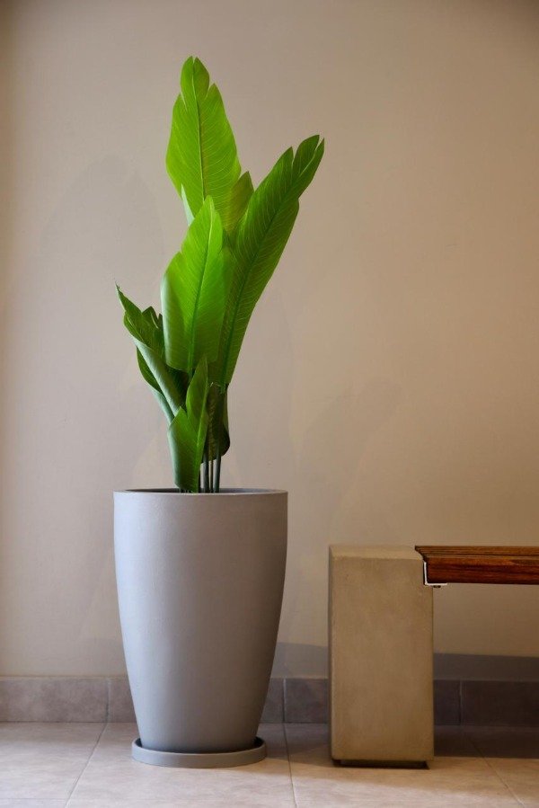 Producto - MODELO CONO MODERNO