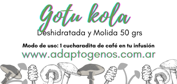 Producto - Gotu Kola 50 gr Procesada