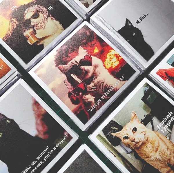 Producto - Gatos - Stickers Vinilo (apto agua)