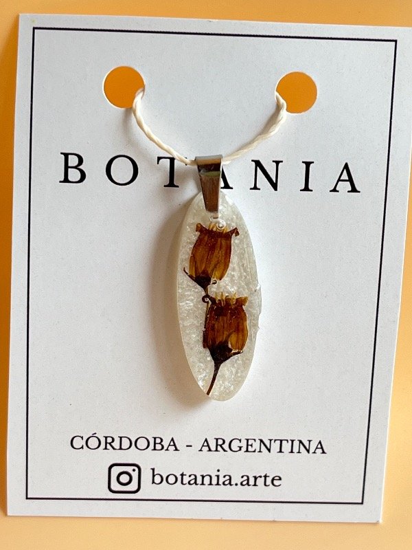 Producto - Variedad 7 Uvita