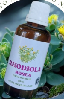 Producto - Rodhiola