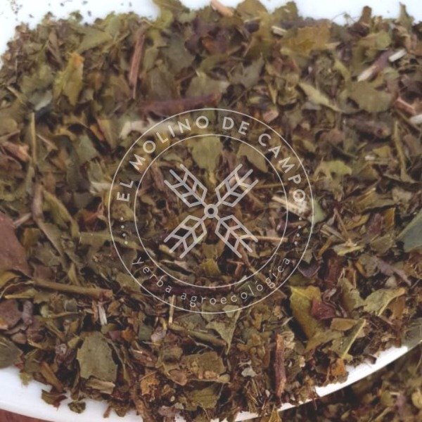 Producto - 1 Bolsón 2kg Té Verde en Hebras