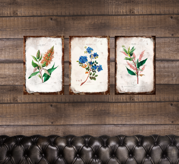 Producto - Trio Botanico Chapas