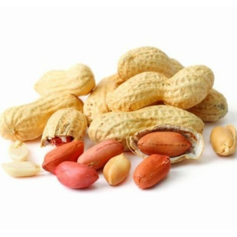 Producto - MANI (CON CASCARA) 500gr