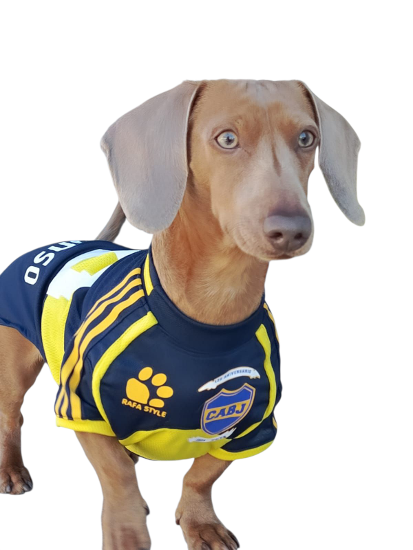 Producto - Camiseta Boca Juniors 2026
