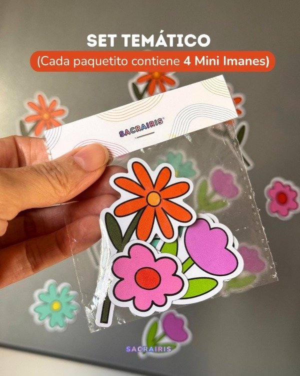 Producto - Set Mini Imanes (pack x 4 und) - 2