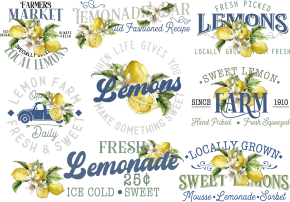 Producto - LEMON 9 TRANSFER